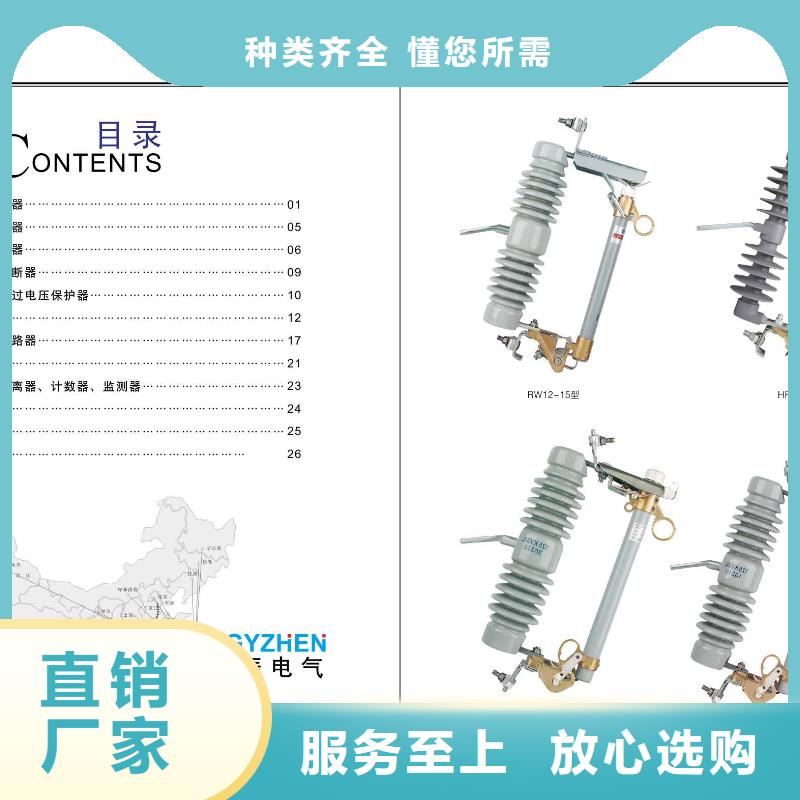 【羿振电气】Y10W-96/232多种优势放心选择