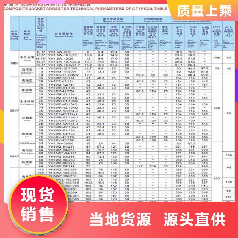 【羿振】避雷器Y10W5-198/565同城生产商