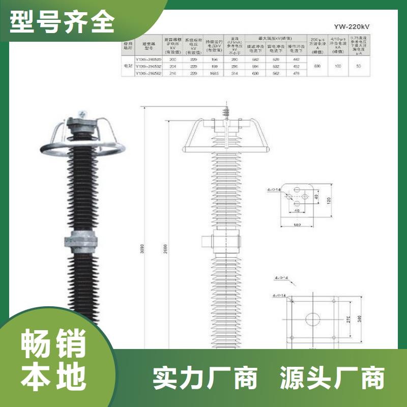 避雷器Y10W-200/496浙江羿振电气有限公司同城供应商