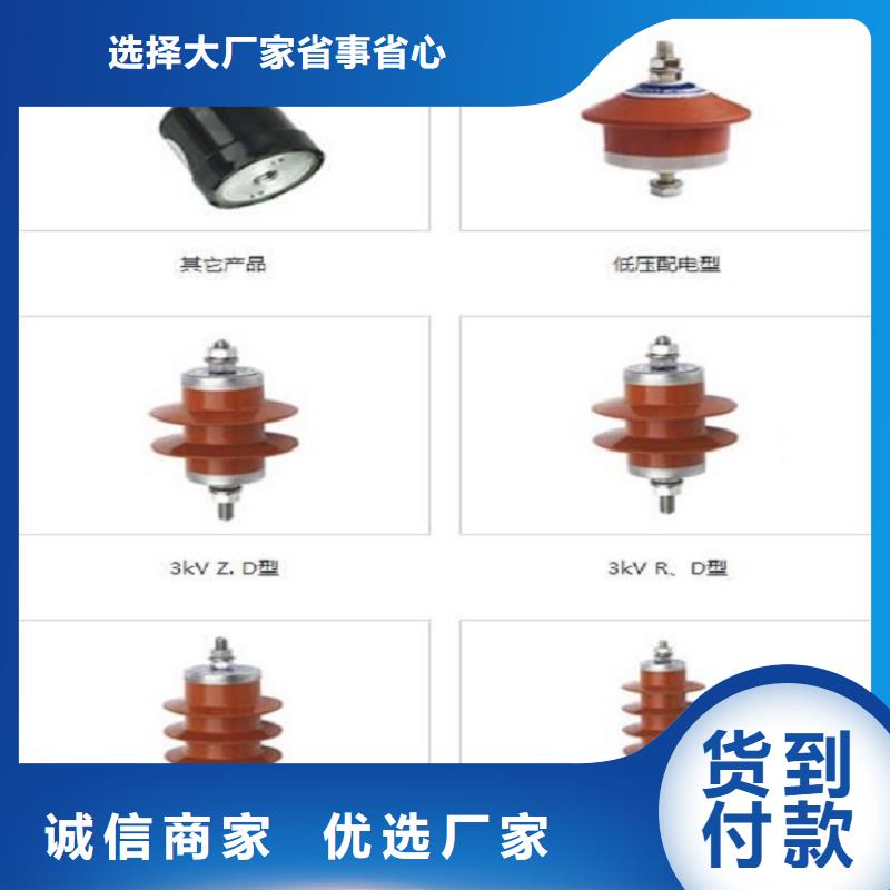 避雷器YH5WD-23/51【羿振电力】专注品质