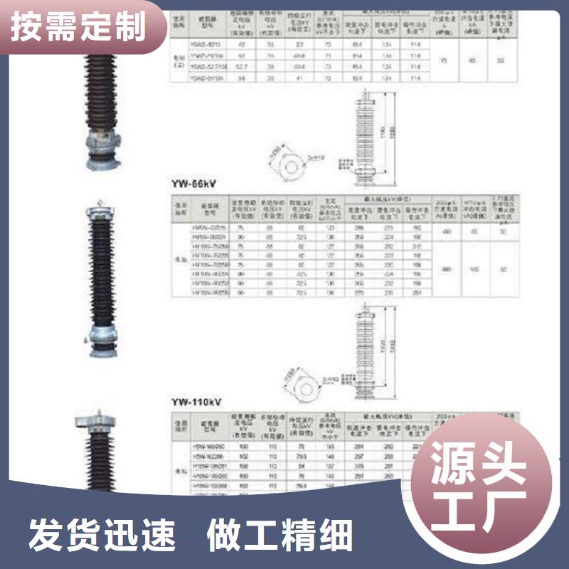 避雷器HY10WZ-192/500【羿振电力设备】附近制造商