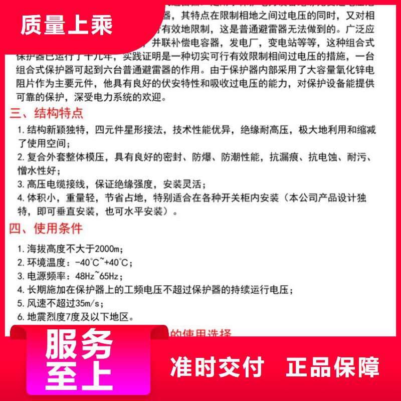 【羿振电力设备】过电压保护器(组合式避雷器)TBP-A/F-6.3精益求精