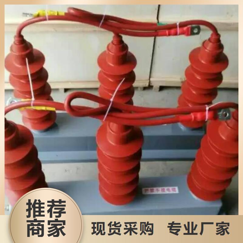 【羿振电力设备】过电压保护器(组合式避雷器)RTB-R-12.7KV/85-J购买的是放心