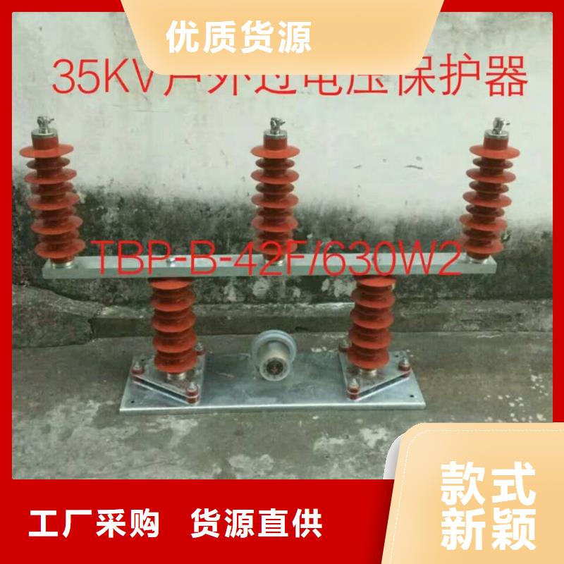 【】保护器(组合式避雷器)BSTG-A-12.7/131细节决定品质