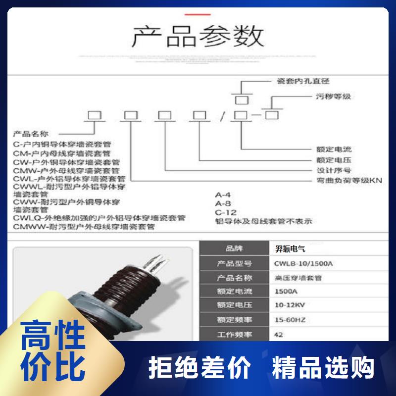 穿墙套管CWWL-40.5KV/1600A-4.有实力有经验