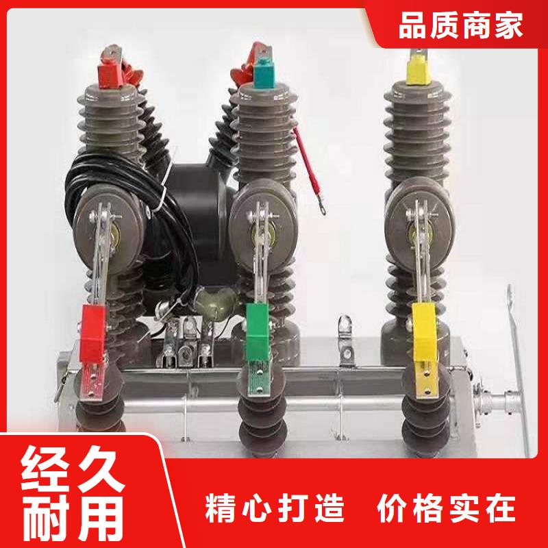 品牌【羿振电力】真空断路器ZW32-12D附近货源