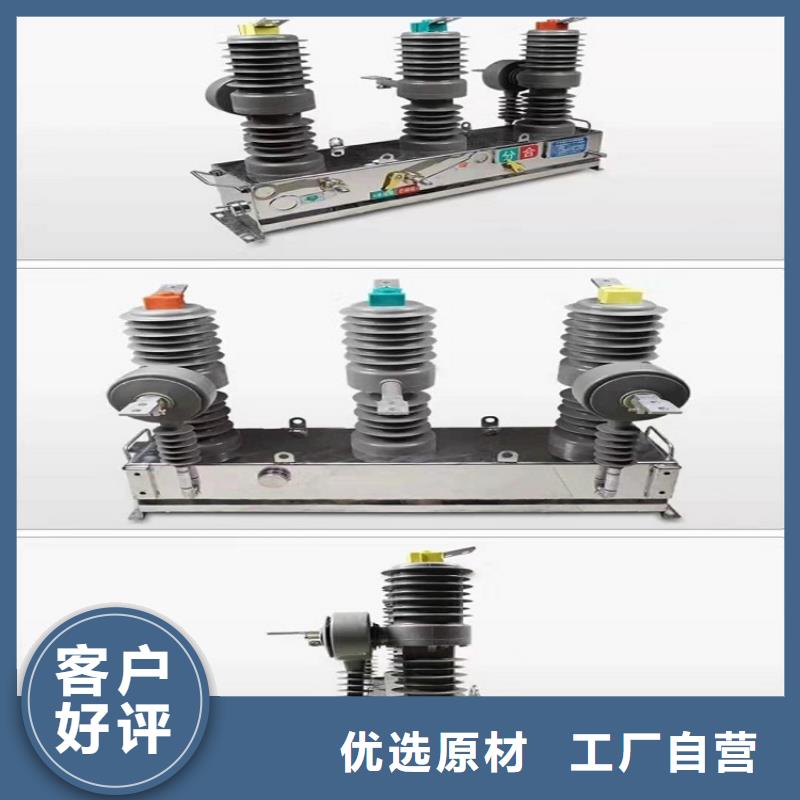 【真空断路器】ZW32-12FG/630-25同城经销商