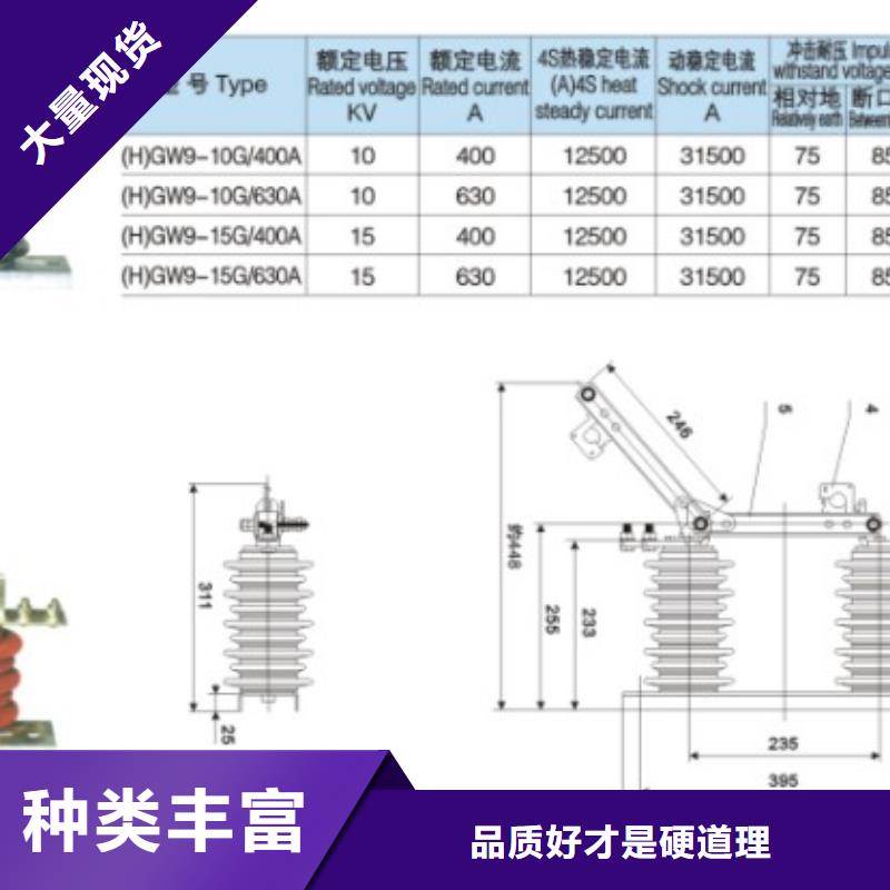 单极隔离开关HGW9-10KV/630型号齐全.真材实料加工定制