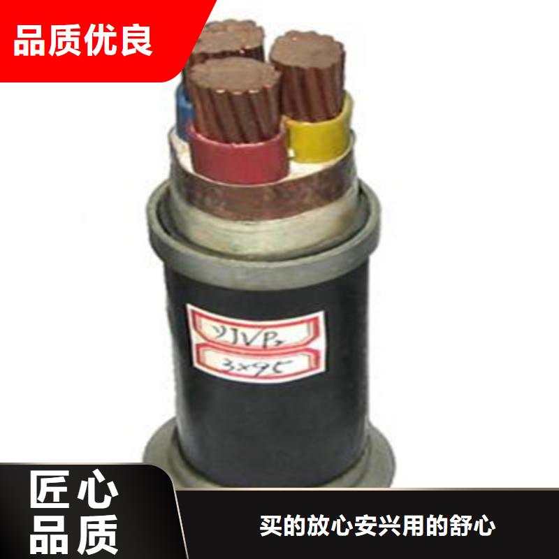 HBIYP2VZT-II2X1.0两芯电缆有现货也可定制源头厂家量大价优