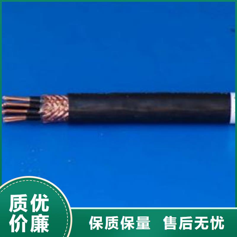 质优价廉的局用屏蔽通信电缆HPVV10X2X0.5基地实力工厂