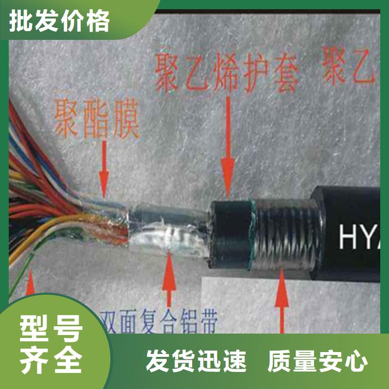 STP-120镀锡通讯电缆1对0.2本地生产商