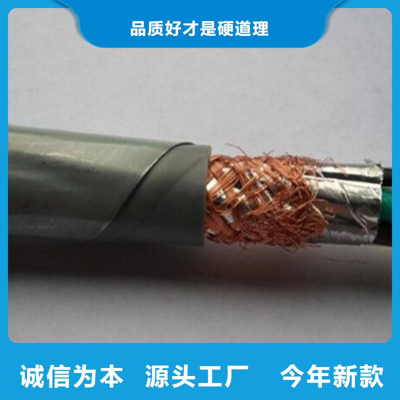 计算机屏蔽电缆DJVP1V-TR5X2X1.5质优价廉