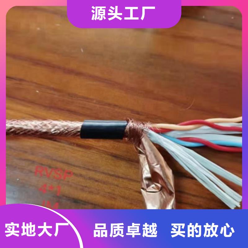 计算机屏蔽电缆DJYJPV厂家直供质量三包