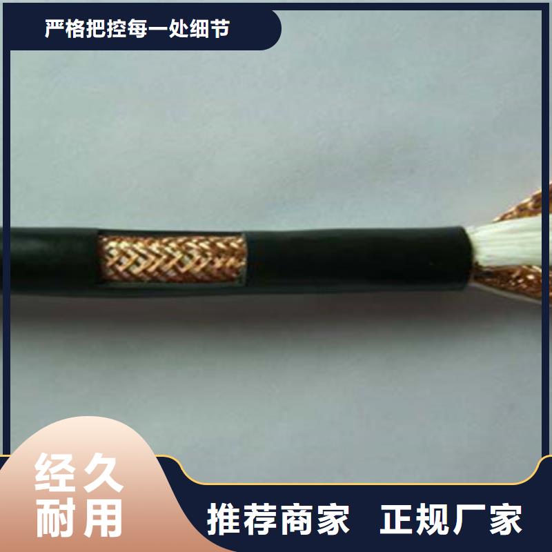 DJYJVP2计算机屏蔽电缆1X2X1.5优选好材铸造好品质