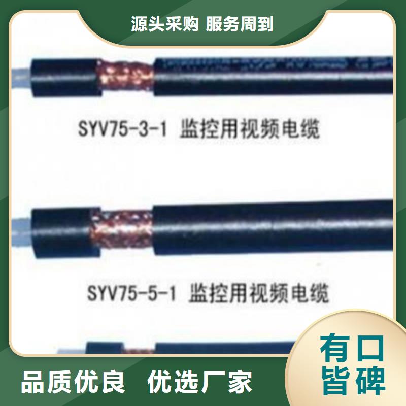 大规模SYWV22特种型号射频线厂家应用广泛