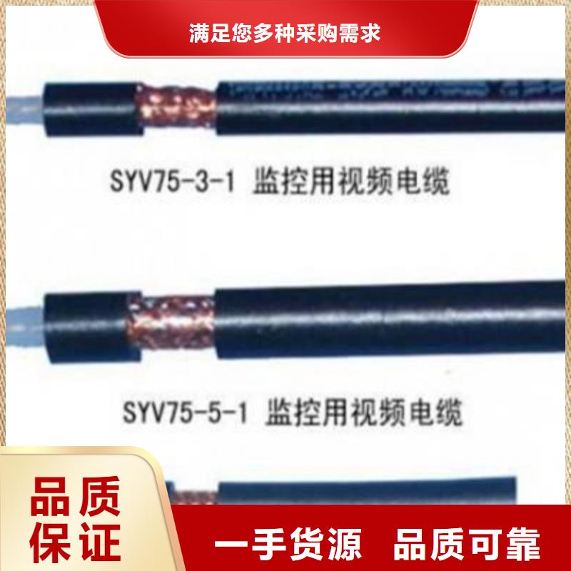 SYV监控线诚信厂家同城供应商