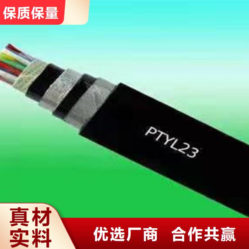 PTYL23铝护套信号电缆30X1实力派厂家