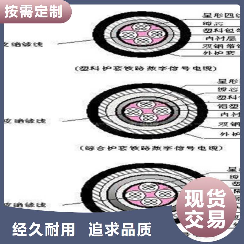 PTYL22铠装信号电缆12X1供货及时