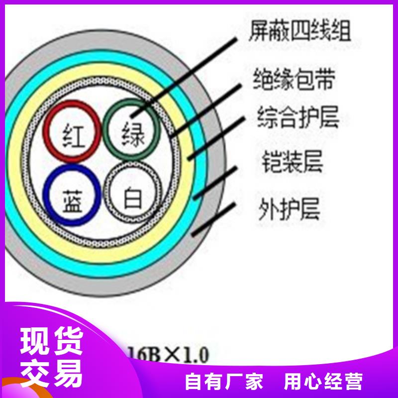 铁路信号电缆PTYA22厂家发货及时附近公司