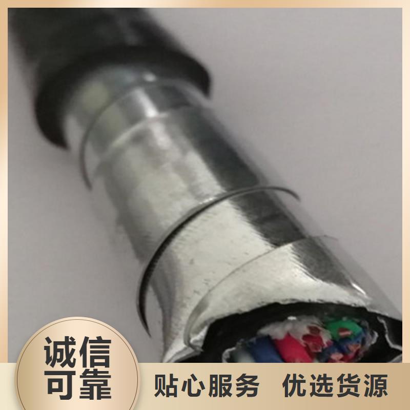 铁路信号线缆PVV2216芯诚信经营