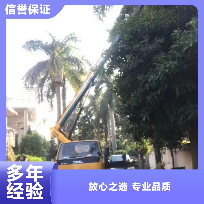 罗定路灯车租赁电话本地服务商