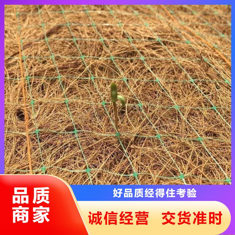 水保抗冲生物毯绿化植生毯本地公司