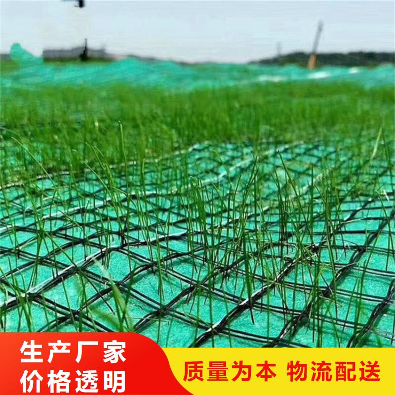 生态植物防护毯附近公司