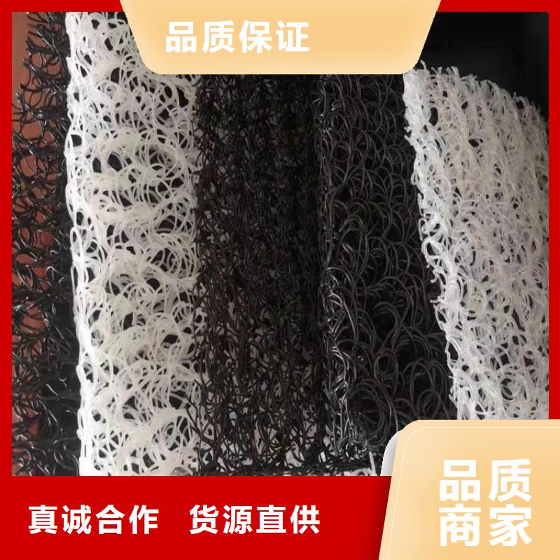 丝状RCP渗排水网垫品质服务