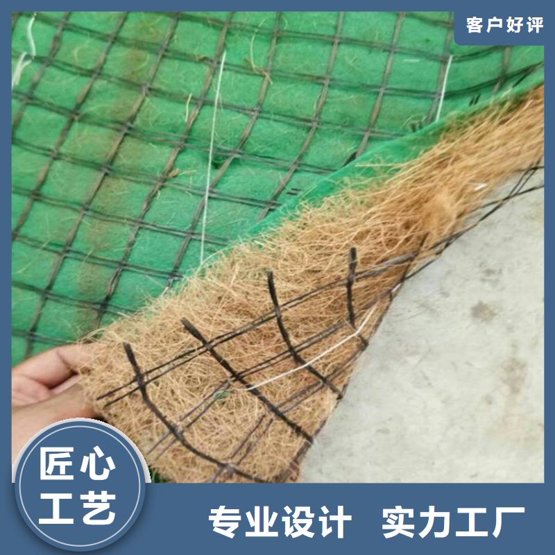 ​麻椰固土毯环保草毯规格型号全