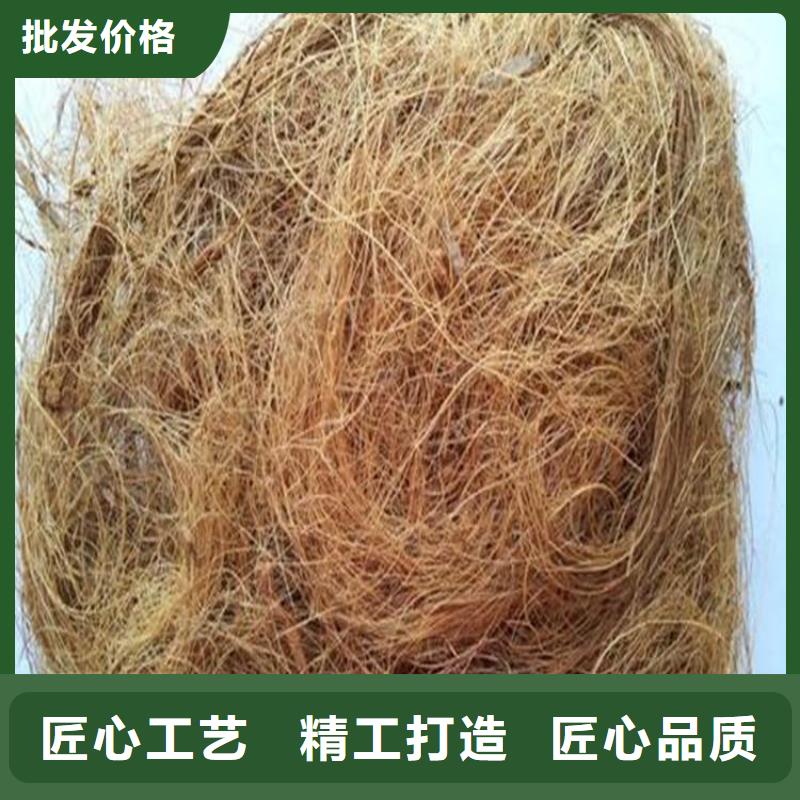 植生椰丝毯本地经销商