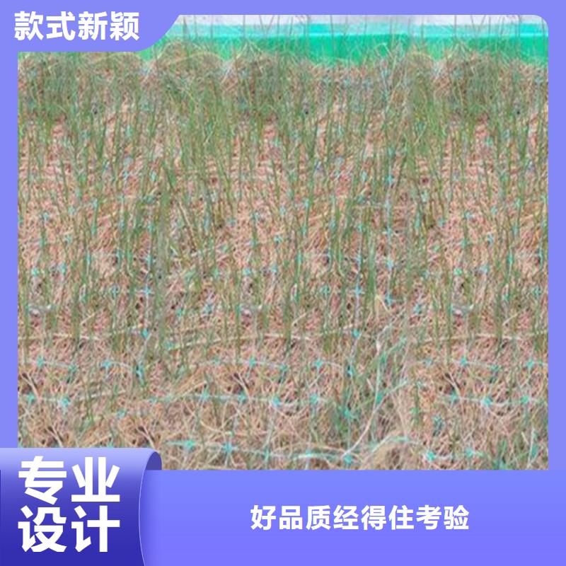 澄迈县护坡植被植草毯固土椰丝毯价格地道