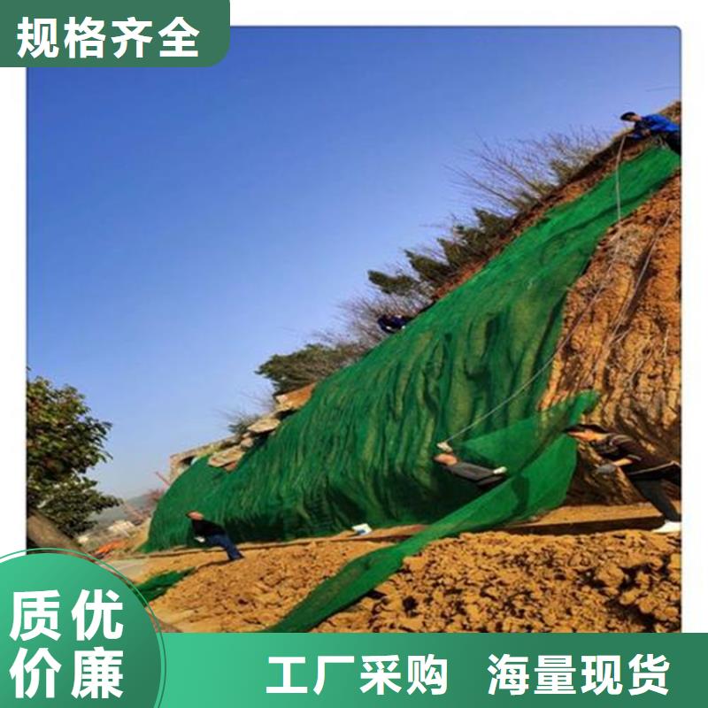 环保固土三维植被网产品细节参数