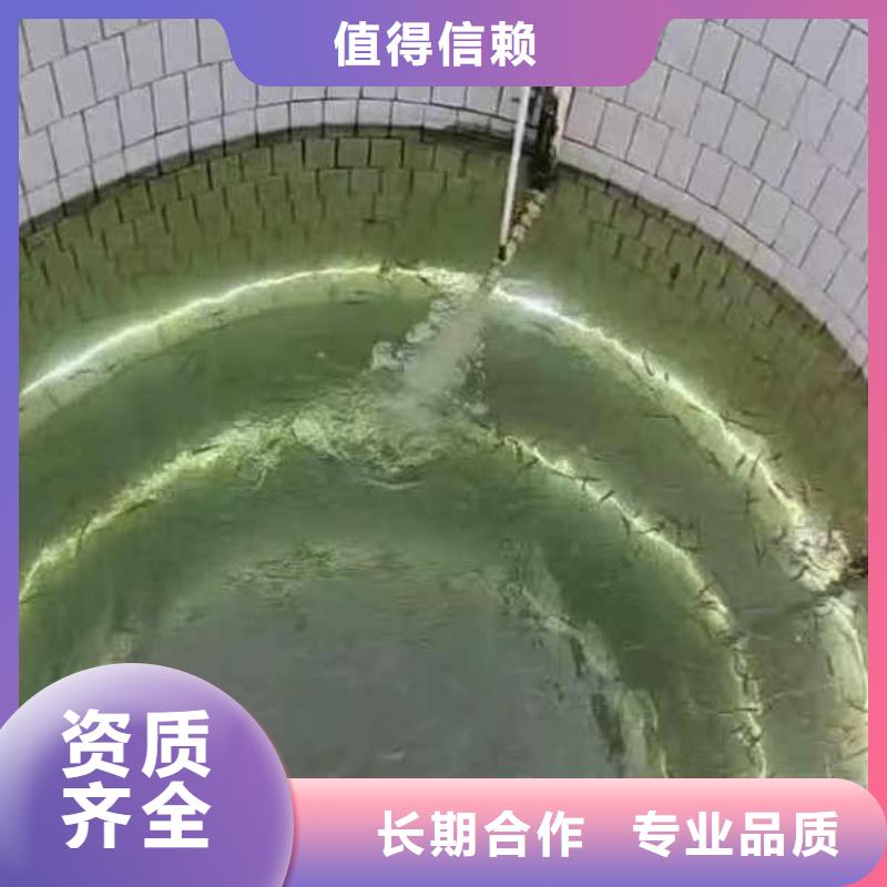 兴化市水下堵漏安装——十佳潜水员浪淘沙水工当地制造商