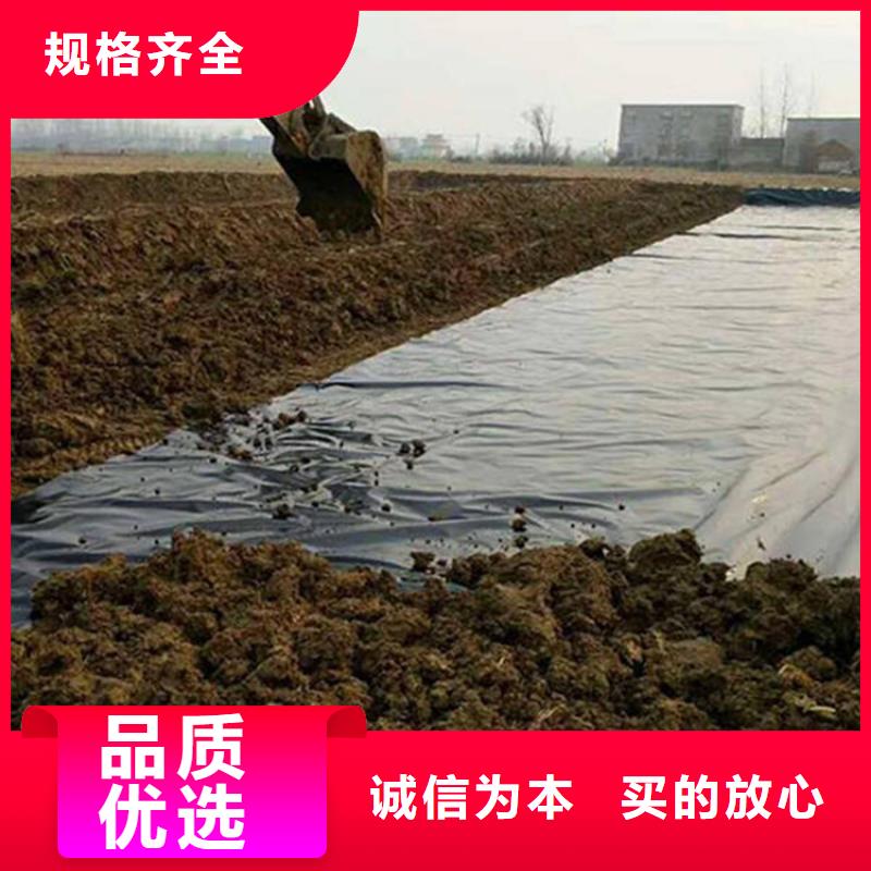 HDPE防渗土工膜市场经销N年专注