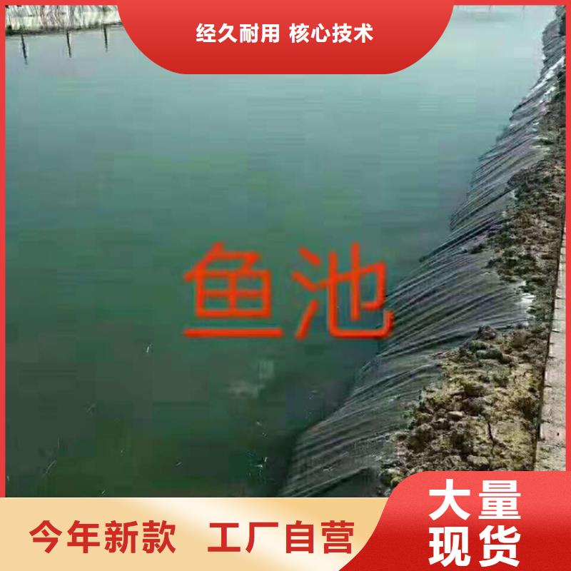 防水复合土工膜-鱼塘防渗膜多年行业积累