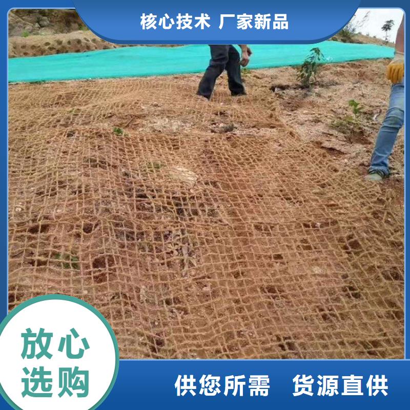 护坡植被植草毯-椰纤植生毯公司动态货源报价