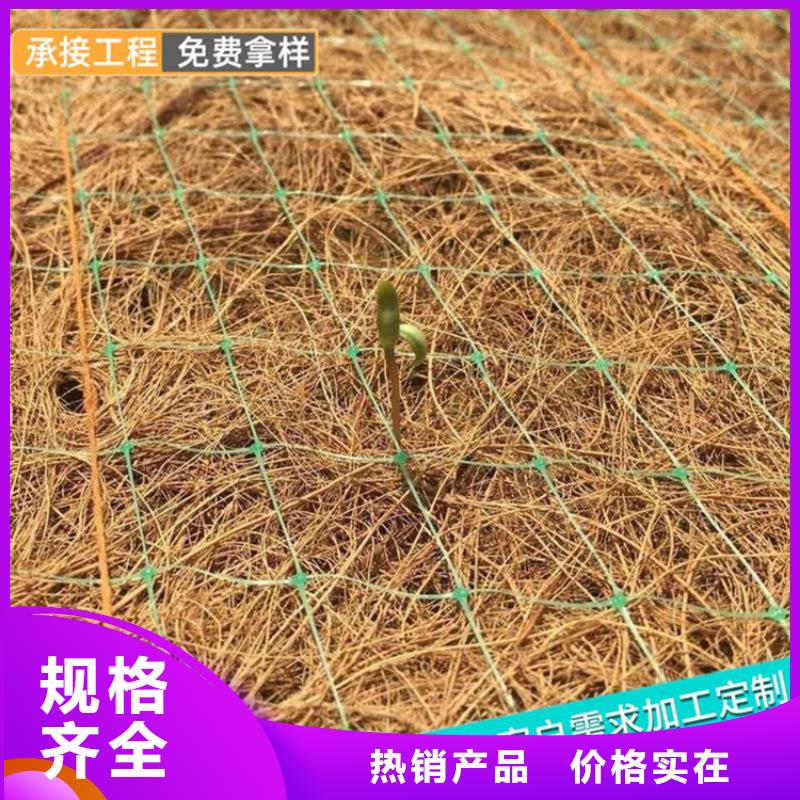 护坡植被植草毯出货快