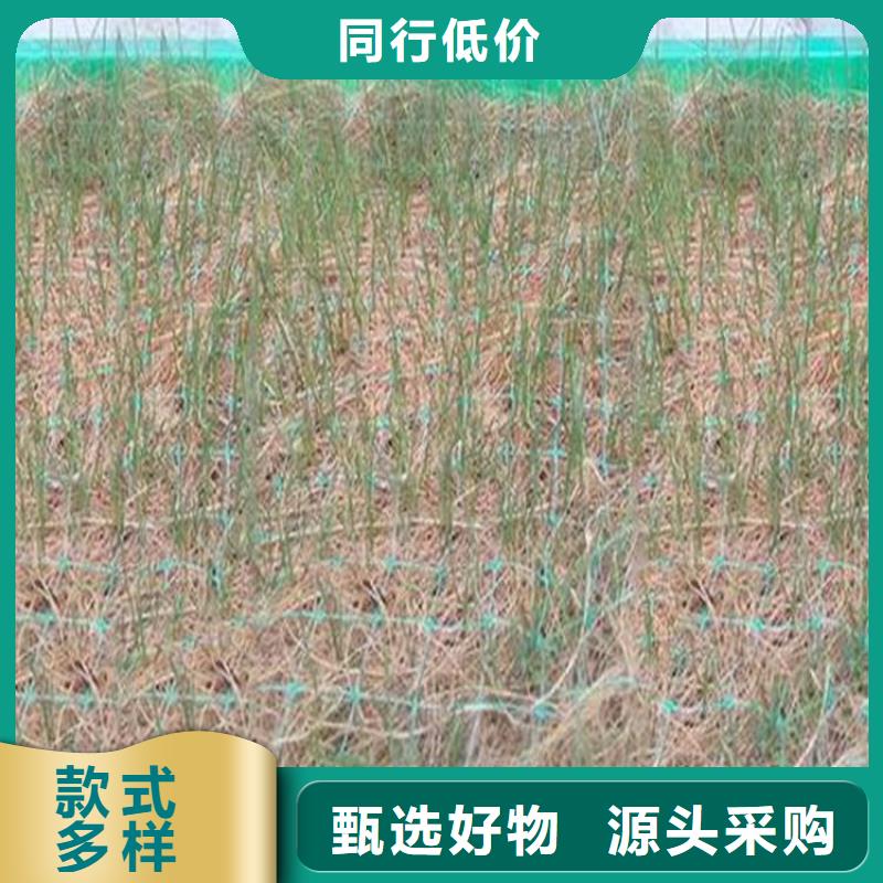 椰丝毯-环保植生毯-护坡植被纤维毯选择大厂家省事省心