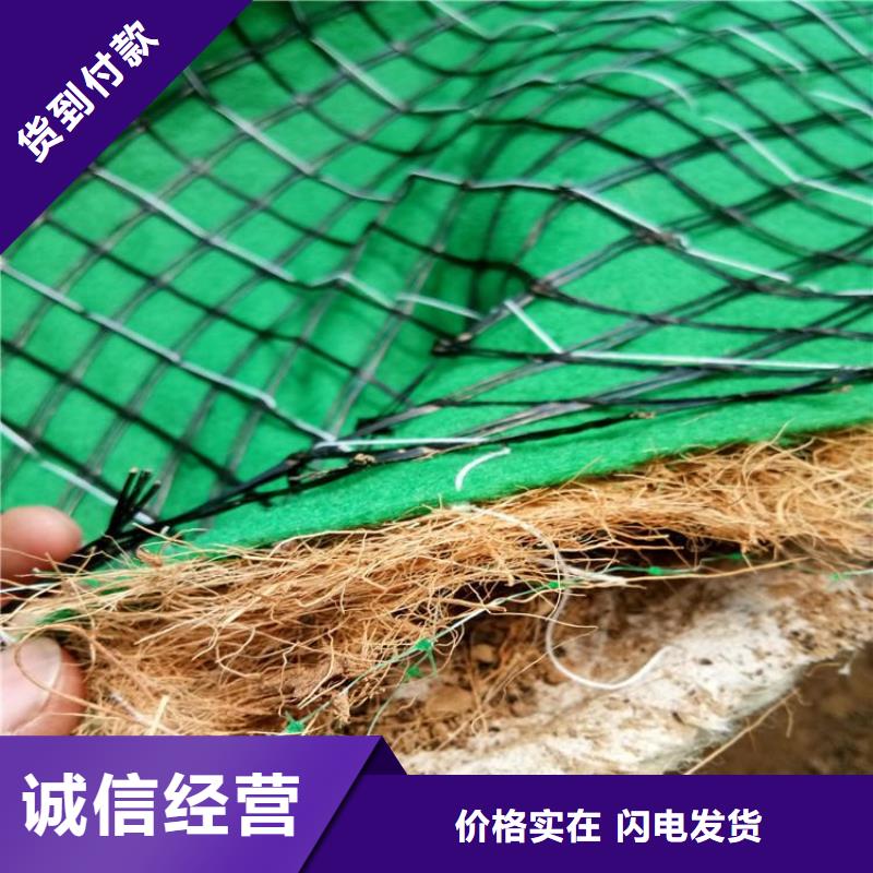 植生椰丝毯加筋抗冲生物毯大量现货