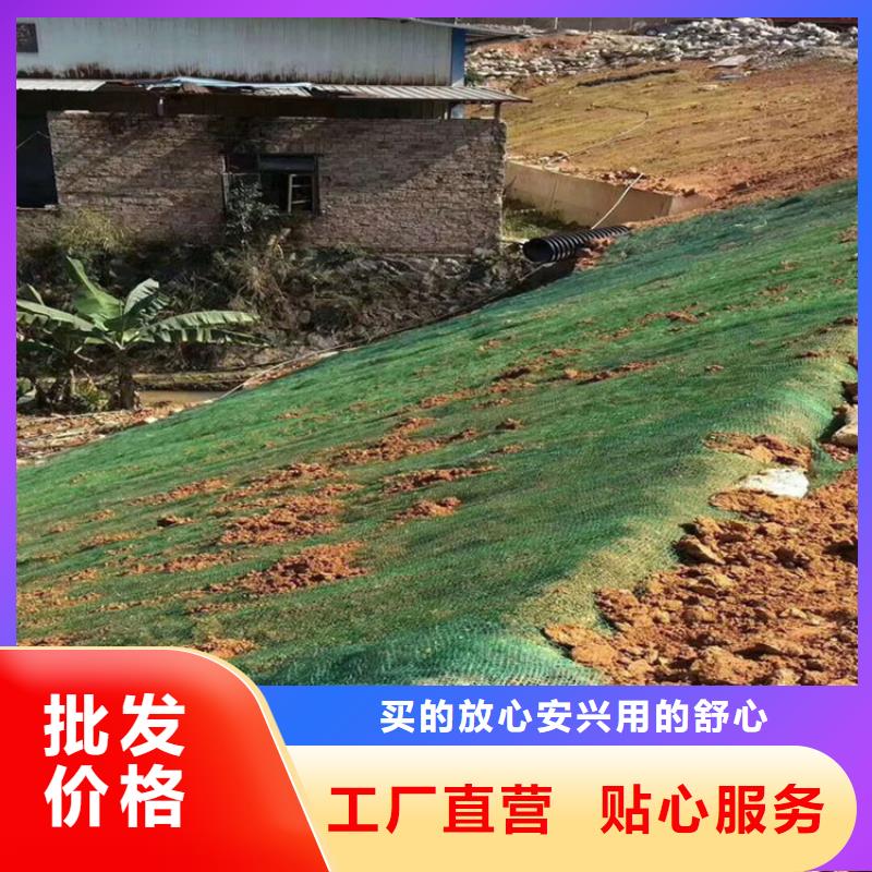 抗冲生态毯-防冲毯-护坡抗冲植草毯支持大小批量采购