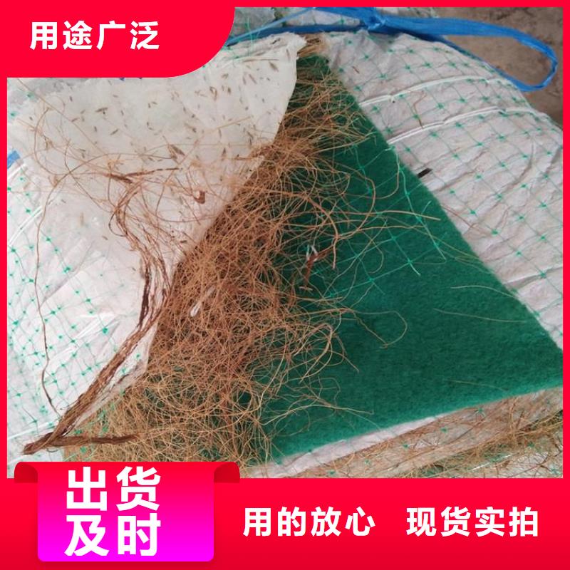 生态椰丝毯加筋植生毯当地品牌