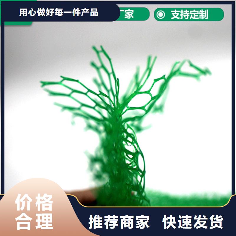 三维植被网-EM5三维护坡植草网垫高质量高信誉