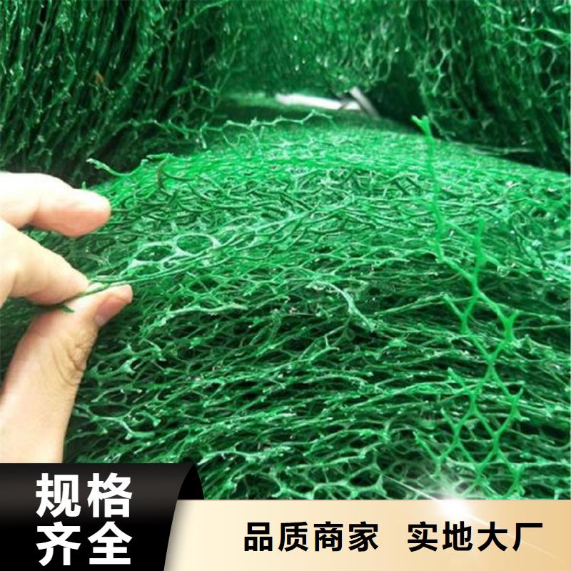 绿化塑料三维植被网支持定制