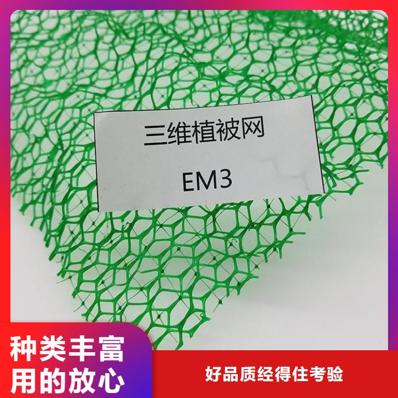 EM2环保三维固土网垫同城厂家