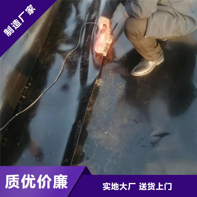 防水复合土工膜当地品牌