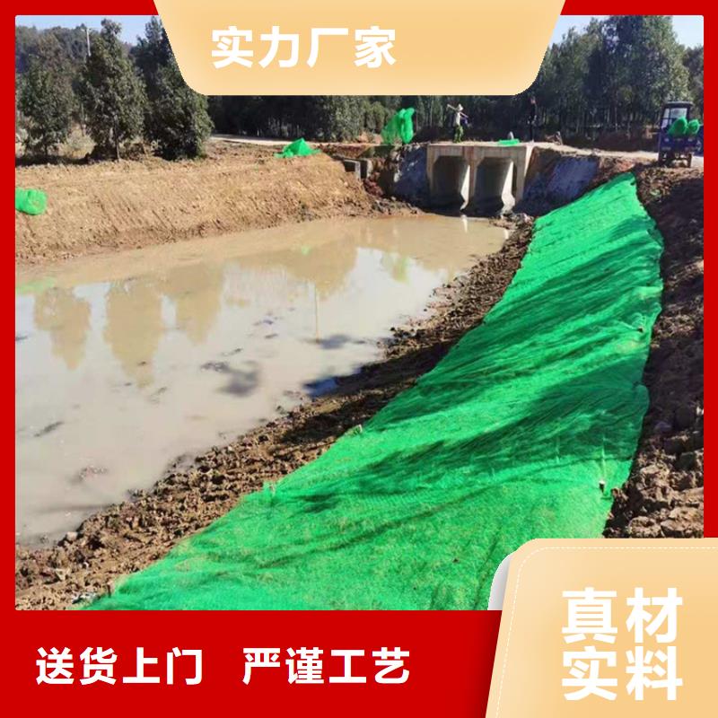 三维护坡植被网垫#绿化加筋工厂自营