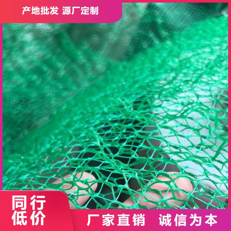 三维植草护坡网垫-EM3三维土工网垫本地供应商