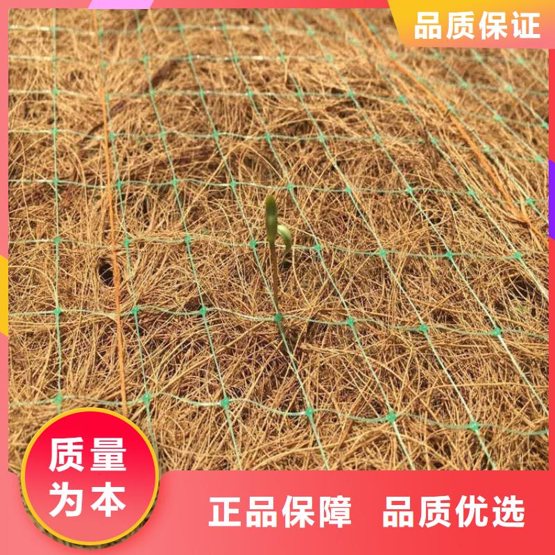 护坡植被植草毯厂家-公司批发核心技术