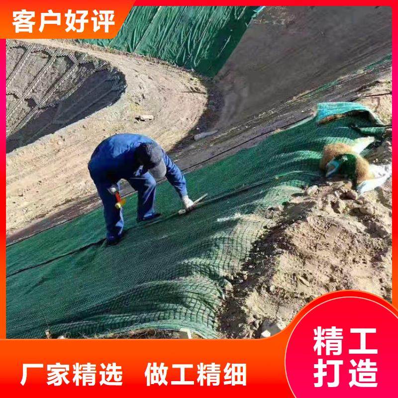 生态环保草毯加筋复合植生毯款式多样