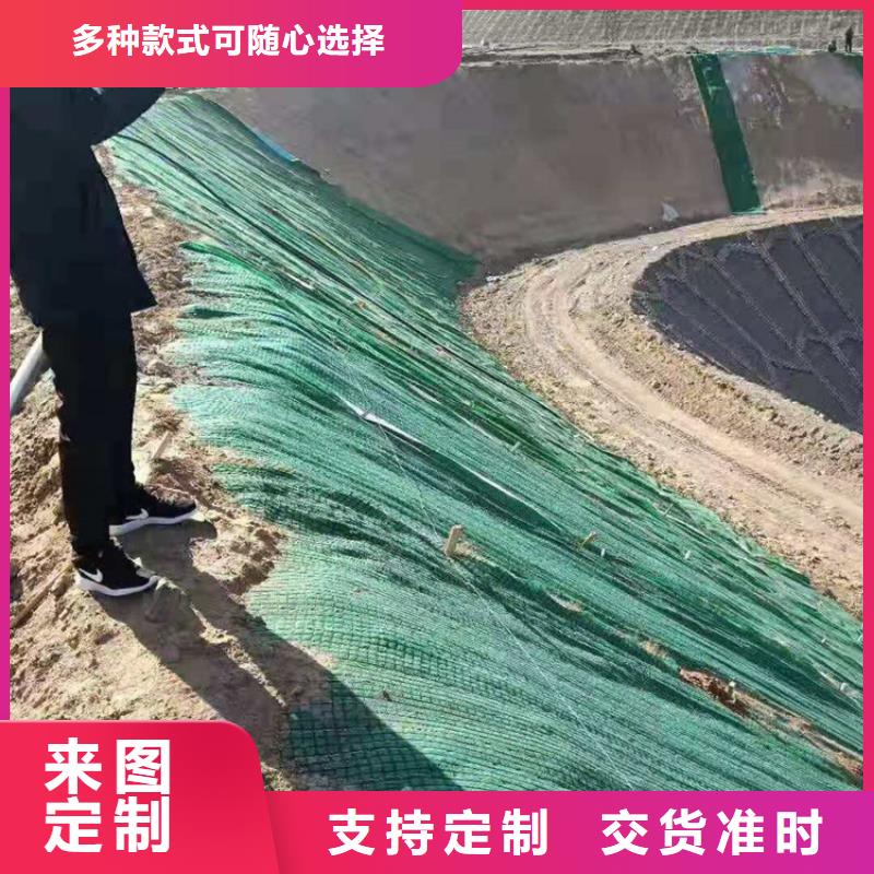 椰纤植生毯-生态环保草毯当地经销商